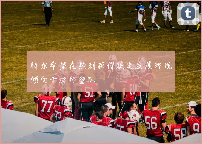 特尔希望在热刺获得稳定发展环境倾向于续约留队